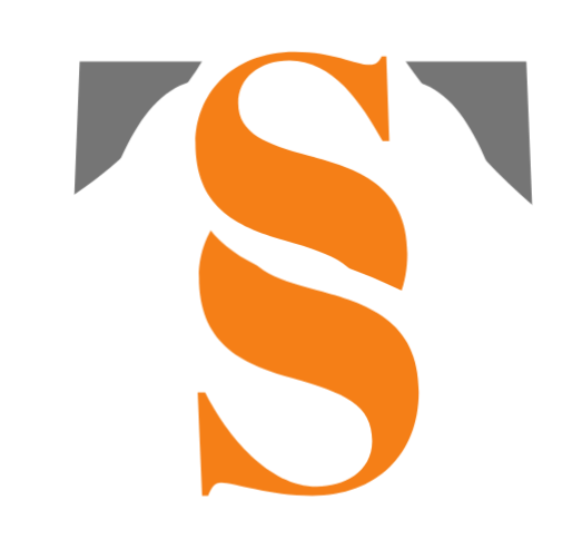 Tech Script Solutions Logo
